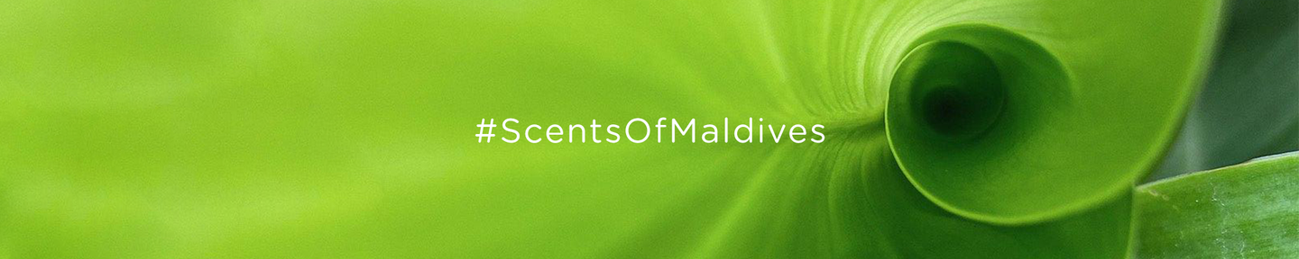 Hello & Welcome to our Blog!