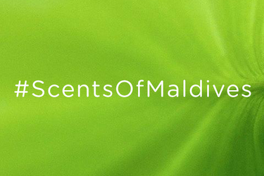 Hello & Welcome to our Blog!