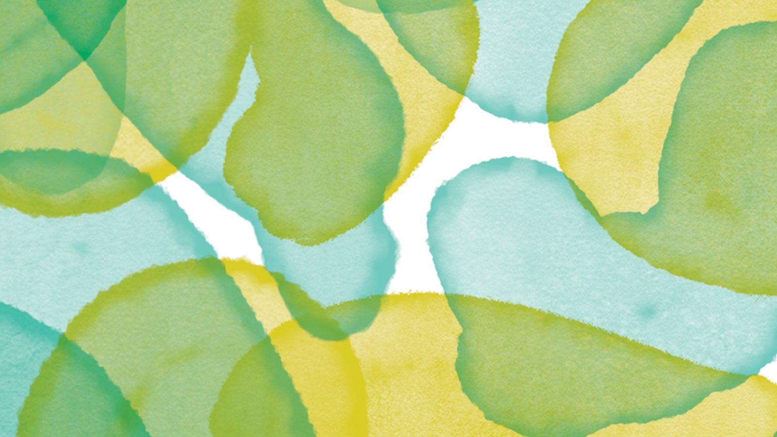 Tangerine & Guava Leaf