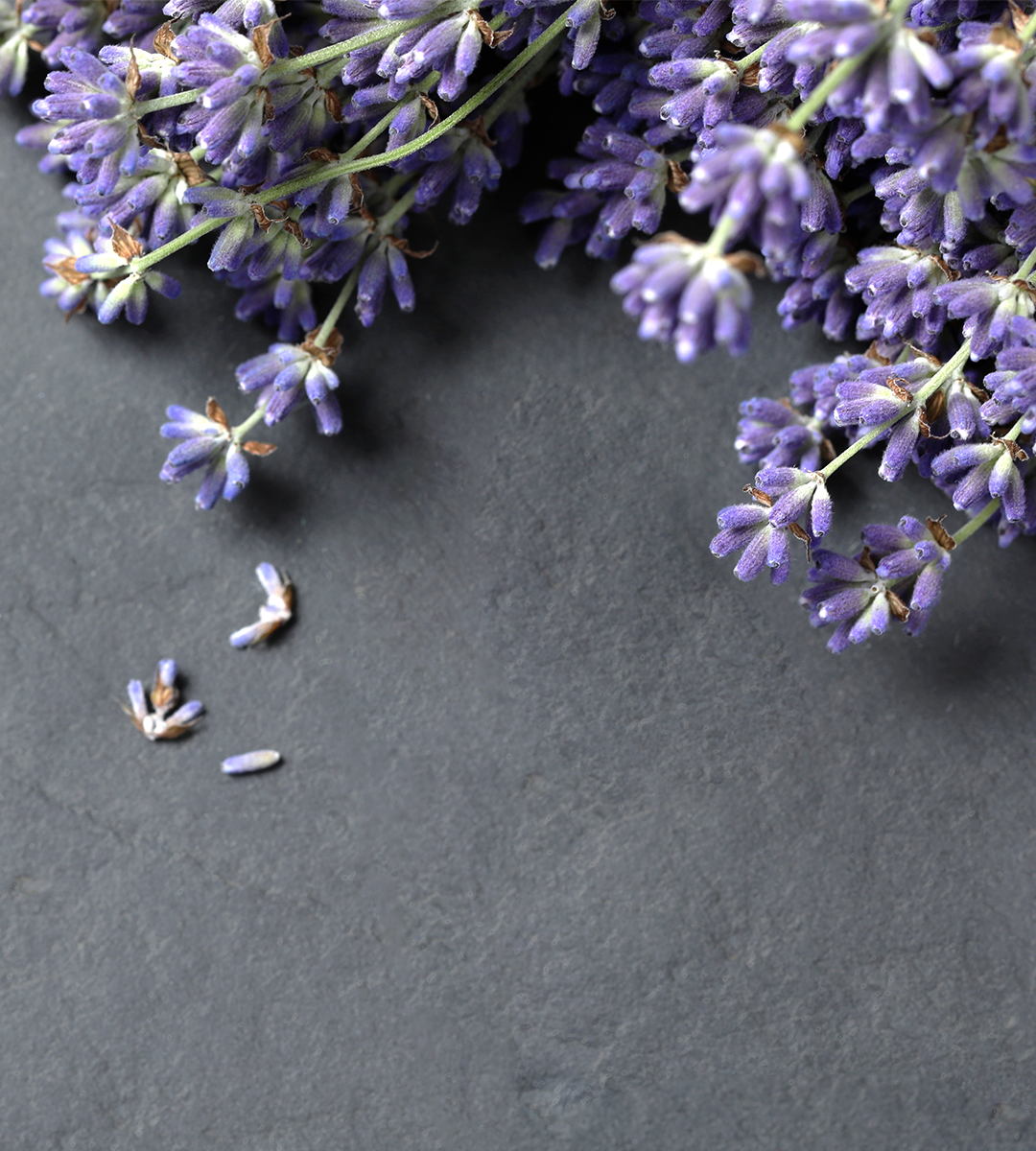 Calming Lavender