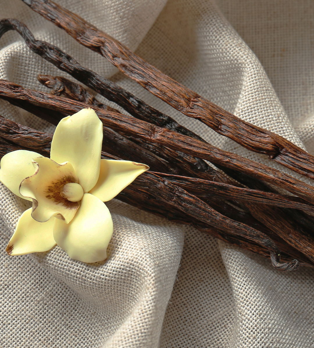 Vanilla