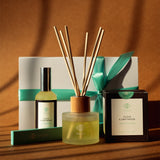Clove & Driftwood Discovery Gift Box