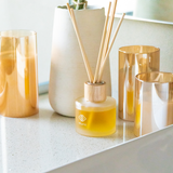 Jasmine & Cinnamon Reed Diffuser